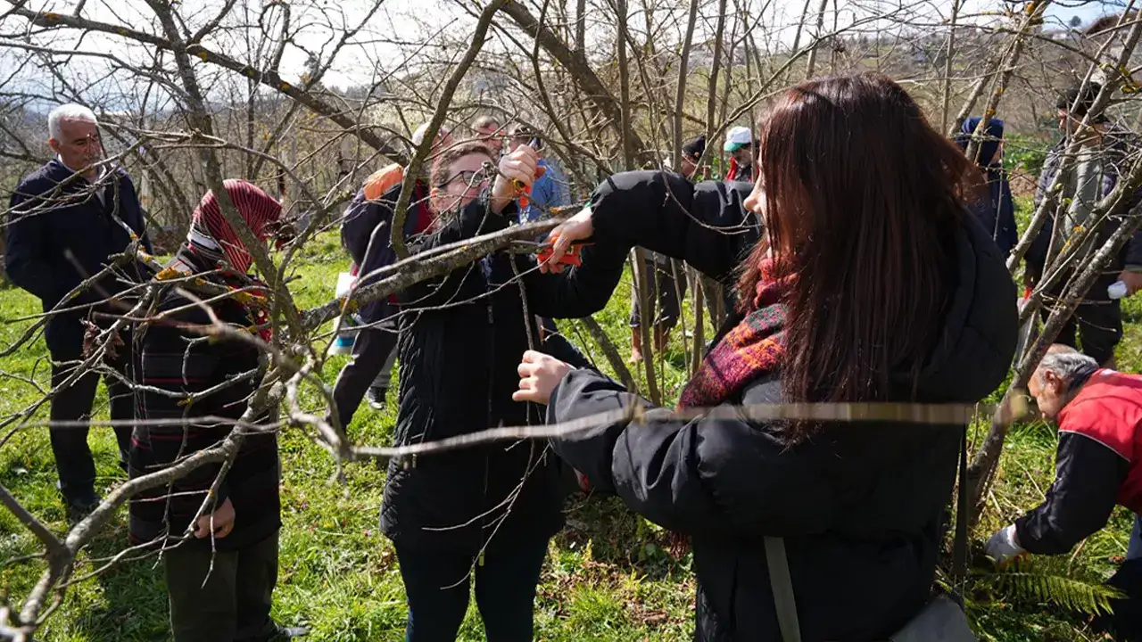 Ortahisar Belediyesi’nden fındık üreticilerine eğitim desteği