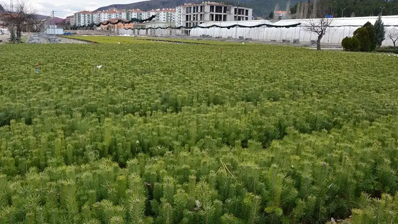 Trabzon’da kamu ihalesi: Müdürlük malzeme alacak