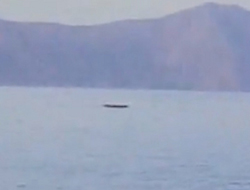 Belediye Başkanı: '4 kez gördüm'