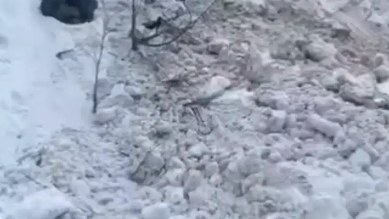 Araklı'ya çığ düştü! Meteoroloji uyarmıştı