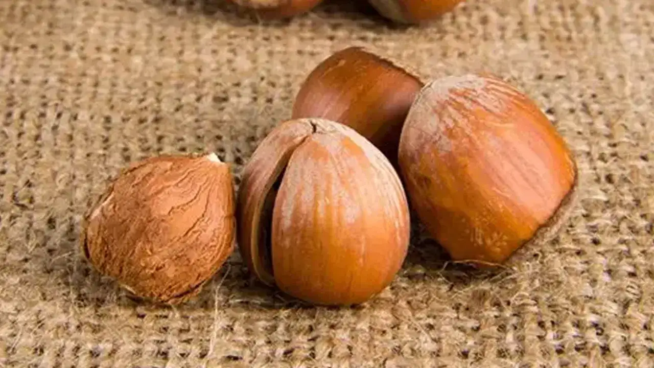 Trabzon’da fındık fiyatları belli oldu!  İşte güncel durum