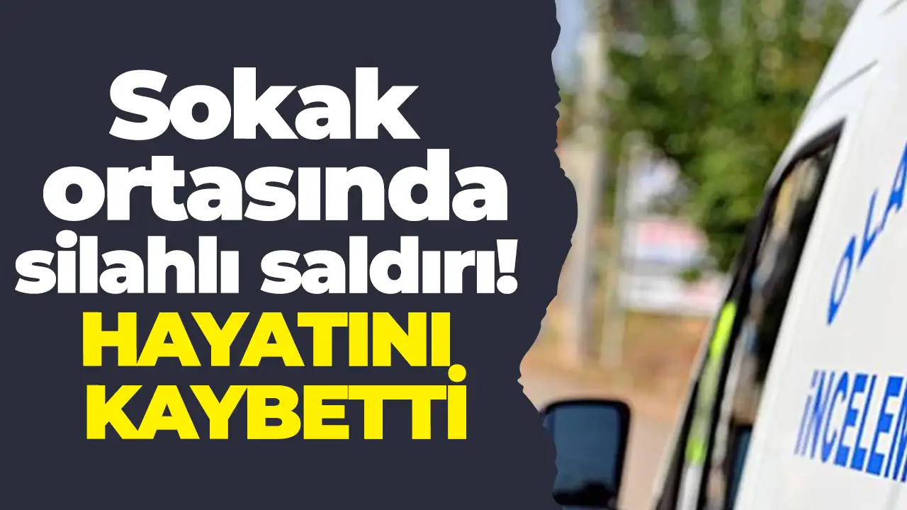 Ordu'da silahlı saldırı: Hayatını kaybetti