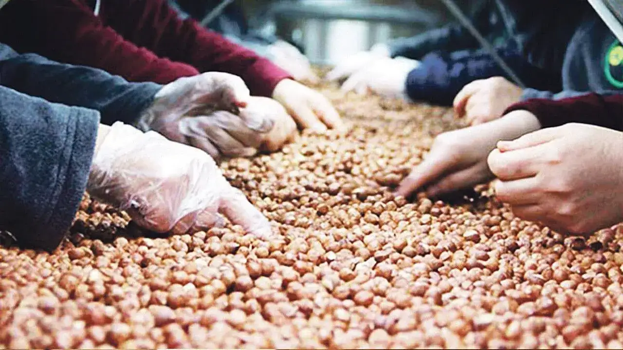 Trabzon ihracatında dikkat çeken değişim: “Ciddi düşüş var”