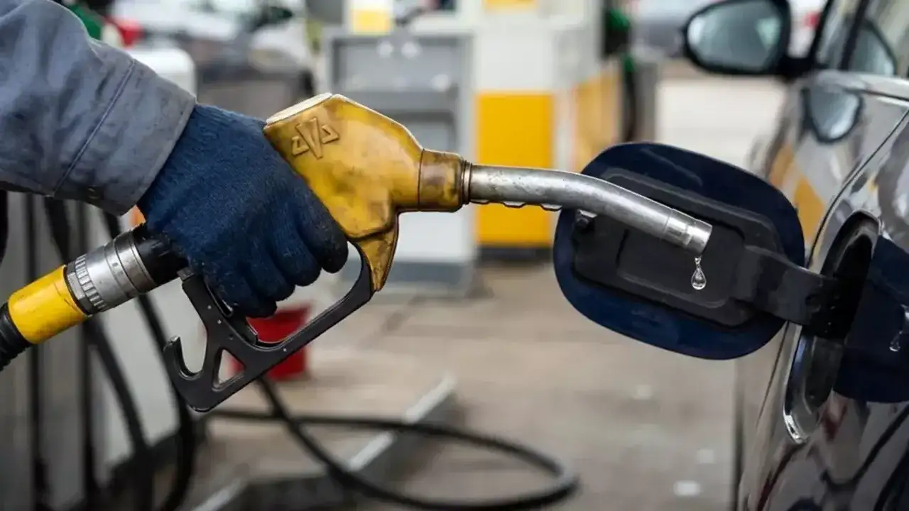 Çelebi: Petrol fiyatları üretim maliyetlerini artıracak
