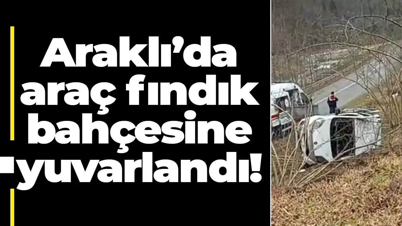Araklı’da araç fındık bahçesine yuvarlandı!