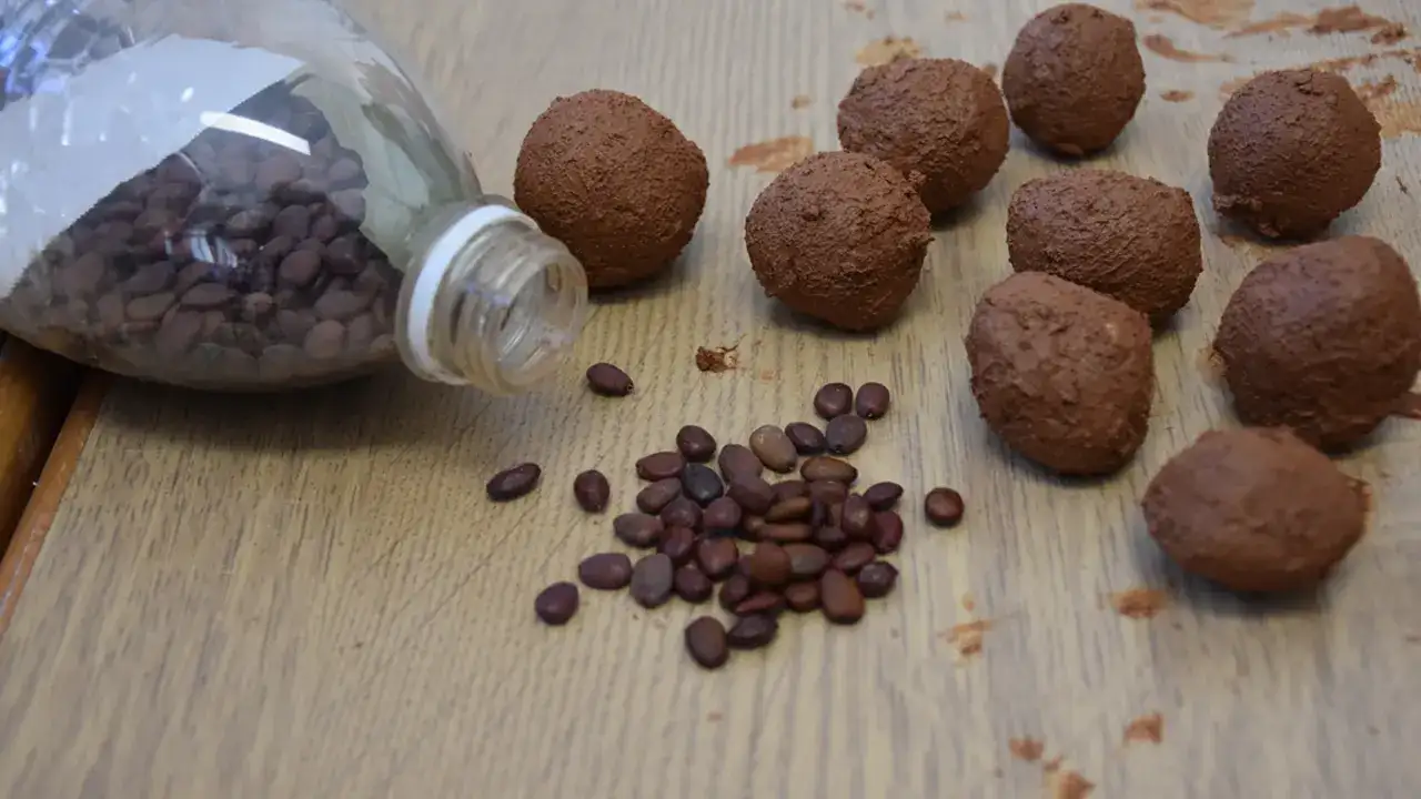 Trabzon’da öğrencilerden doğaya destek! 20 bin tohum topu hazırlandı