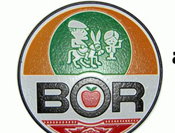 'Eşekli' logo alay konusu oldu