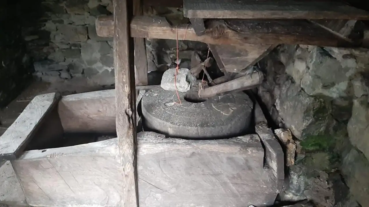 Giresun’da Yedi Değirmenler Tabiat Parkı’nda sezon açıldı