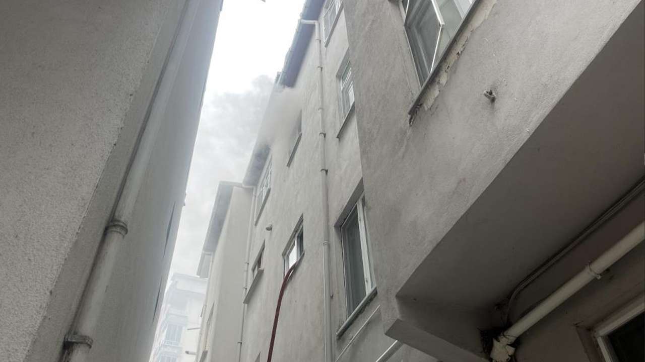 Kedilerini kurtarmak isterken hastanelik oldular