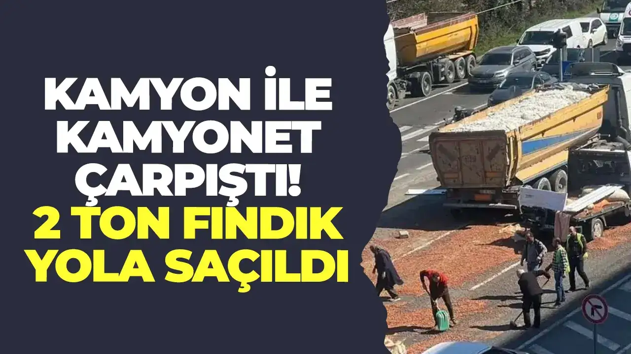 Kamyon ile kamyonet çarpıştı: 2 ton fındık yola saçıldı