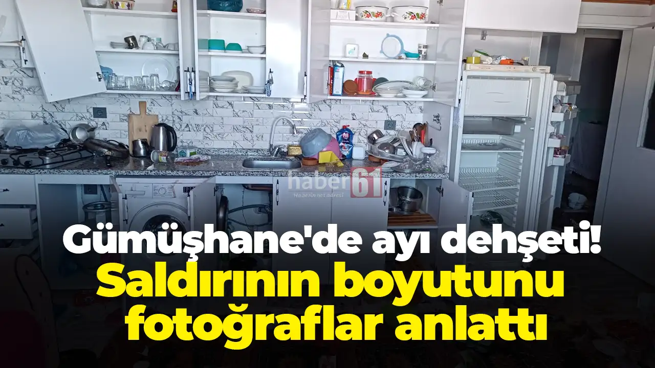 Gümüşhane'de ayı dehşeti: Saldırının boyutunu fotoğraflar anlattı