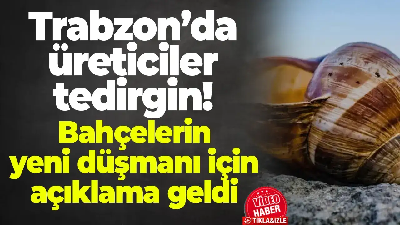 Trabzon’da üreticiler tedirgin: Bahçelerin yeni düşmanı için açıklama geldi