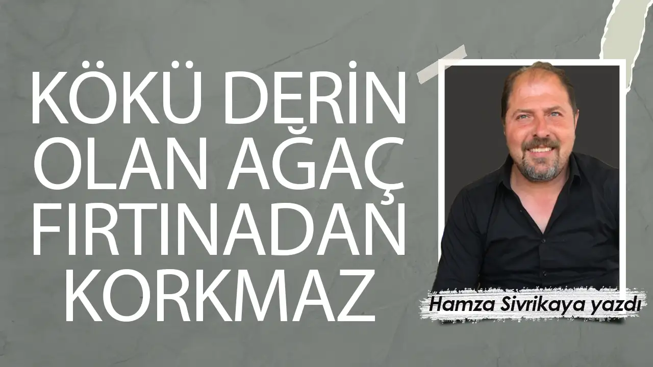 Kökü derin olan ağaç fırtınadan korkmaz