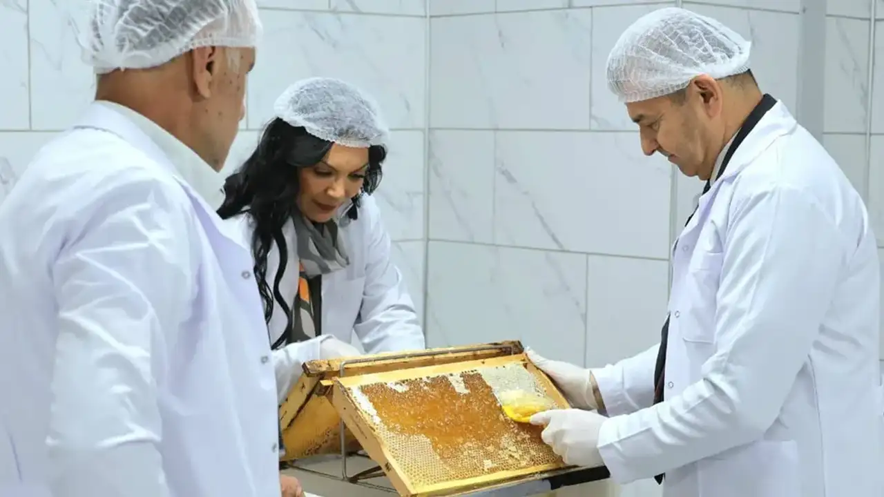 Artvin’de bal üretimi için çalıştay düzenlenecek