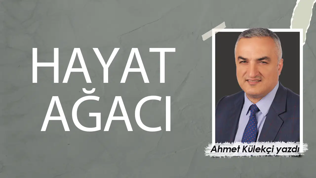 HAYAT AĞACI