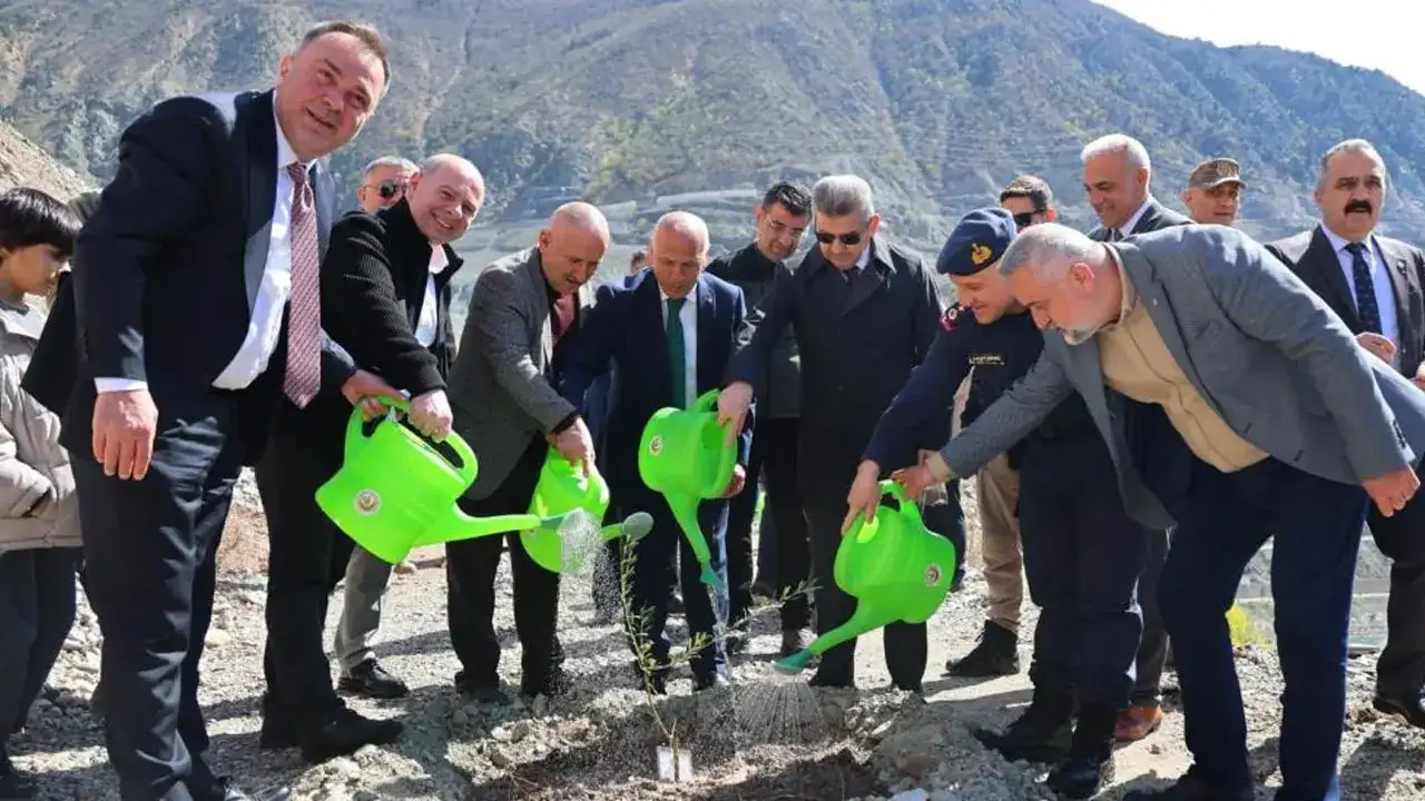 Artvin’de 450 fidan dikildi, Butko zeytini yaygınlaşıyor