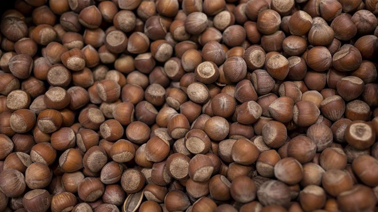 Saadet Partisi Genel Başkanı Arıkan’dan fındık çıkışı! “Türkiye belirleyen ülke olmalı”