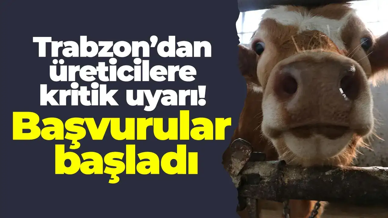 Trabzon’dan üreticilere kritik uyarı: Başvurular başladı