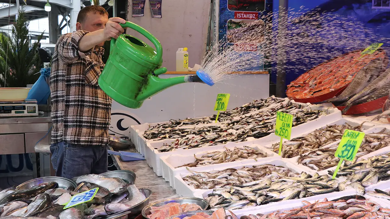 Rize’de balık sezonu kapanıyor: İstavrit ve somon öne çıktı