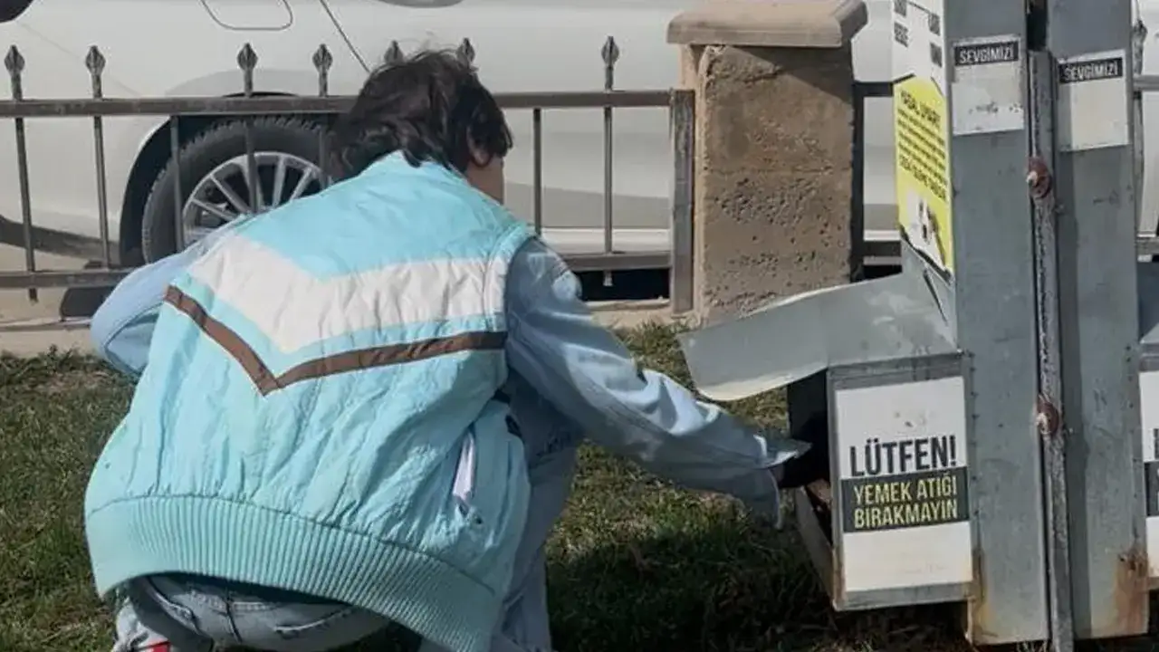 Bayburt’ta öğrencilerden anlamlı etkinlik: Sokak hayvanlarına destek