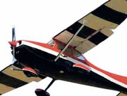 İntihar etmek için uçak tuttu