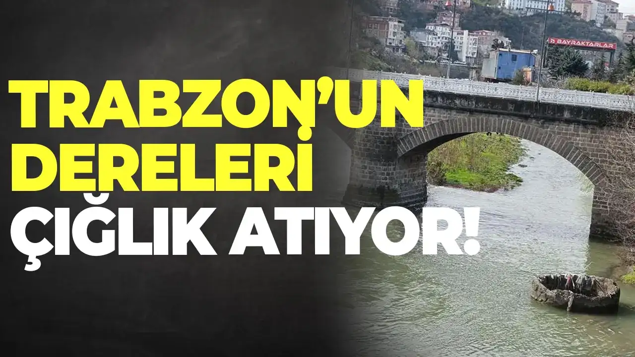 Trabzon'un dereleri çığlık atıyor