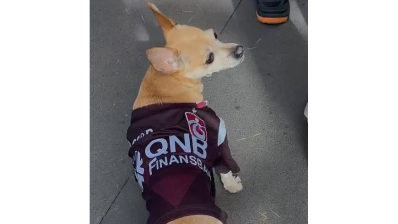 Trabzon’da derbi öncesi renkli anlar: Küçük köpek bile formayla