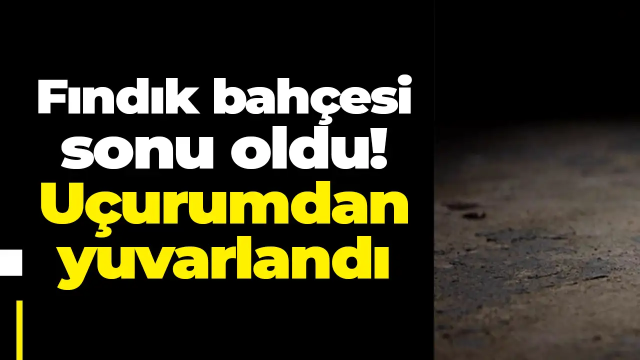 Fındık bahçesi sonu oldu: Uçurumdan yuvarlandı