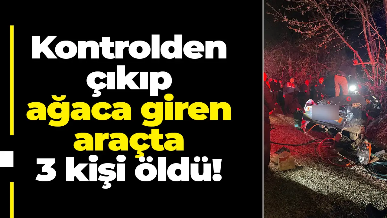 Antalya'da kontrolden çıkıp ağaca giren araçta 3 kişi öldü
