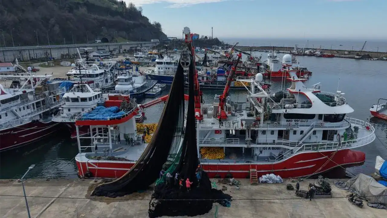 Trabzon’da balıkçılar sezonu kapattı: Hamsi bol, kazanç düşük