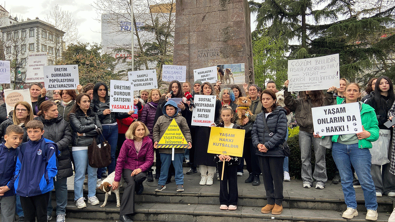 Trabzon'da barınaklar kısır döngünün kurbanı!