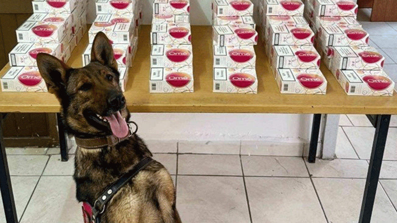 Artvin’de kaçakçılıkla mücadelede