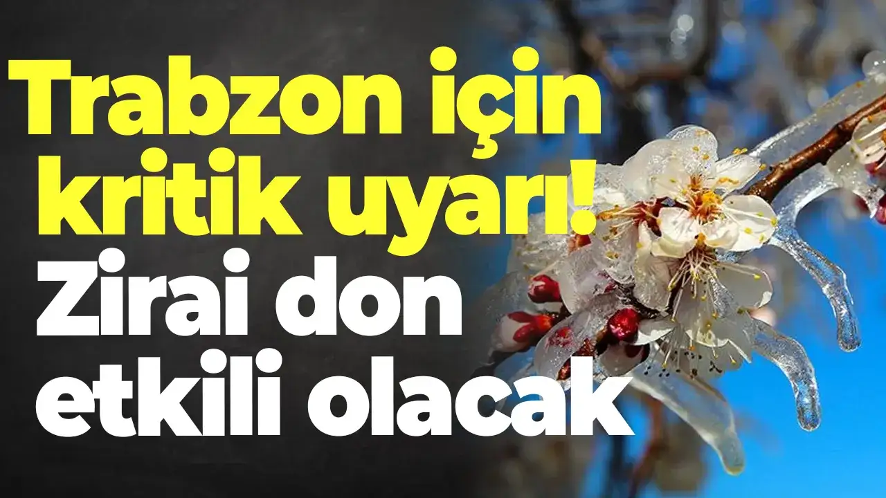 Trabzon için kritik uyarı: Zirai don etkili olacak