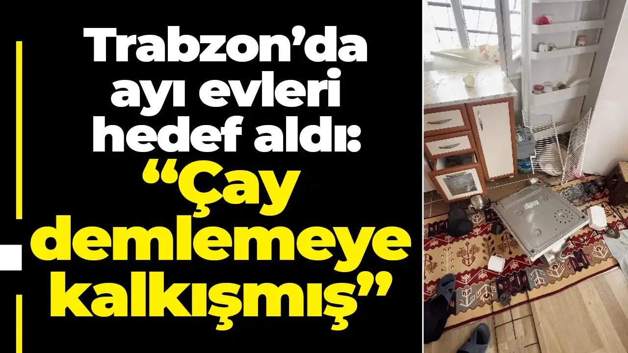 Trabzon’da ayı evleri hedef aldı: “Çay demlemeye kalkışmış”