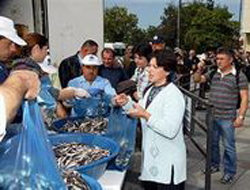 Bedava hamsi 2 saatte tükendi !