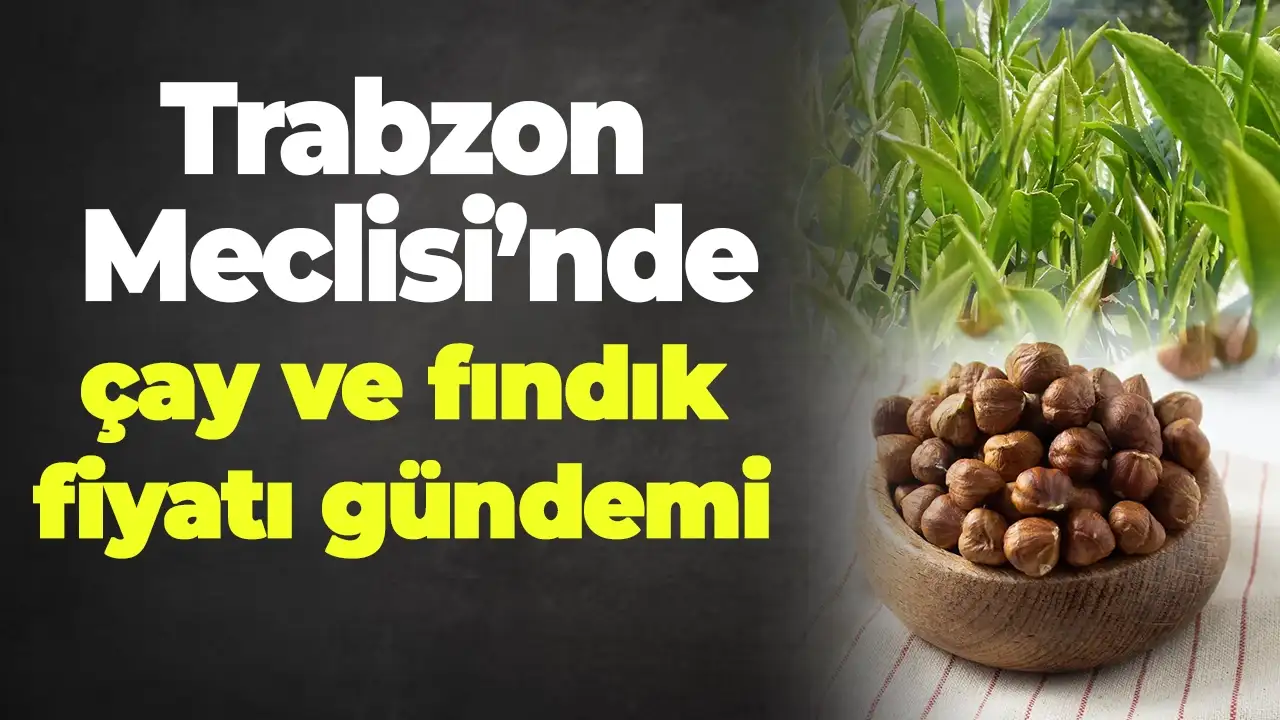 Trabzon Meclisi’nde çay ve fındık fiyatı gündemi