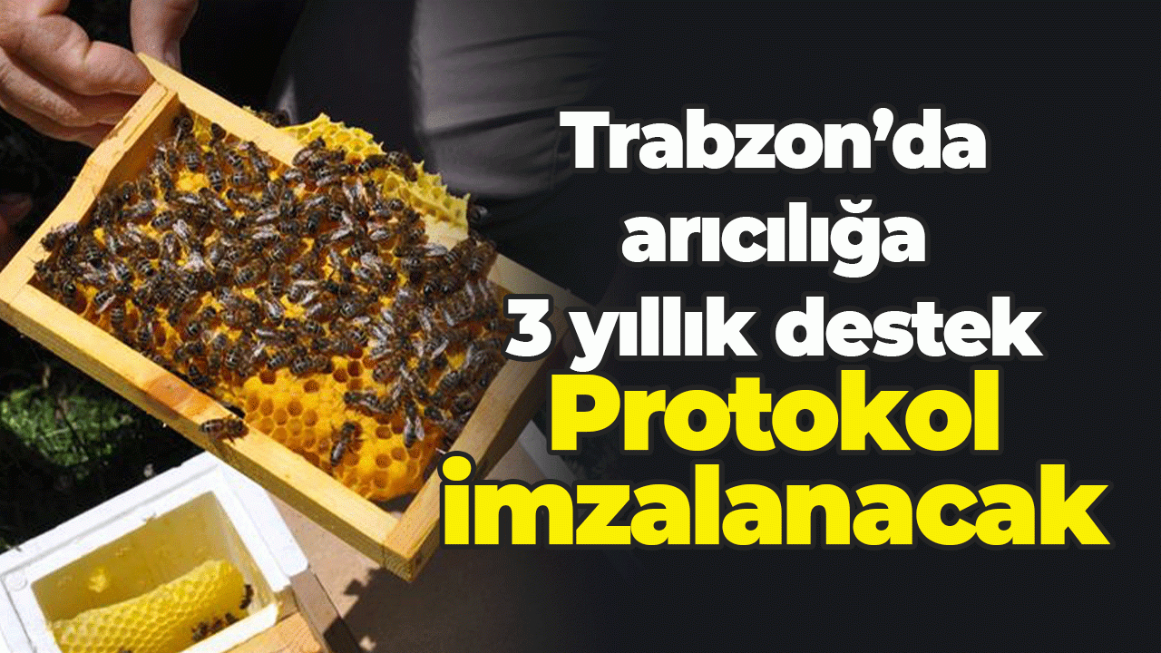 Trabzon Büyükşehirden arıcılara destek: Protokol imzalanacak