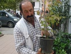 Takvime göre : Ağaç dikme zamanı