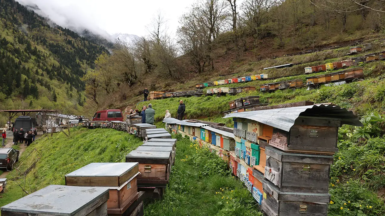 Artvin’de bal çalıştayı: Üretim ve çeşitlilik vurgusu
