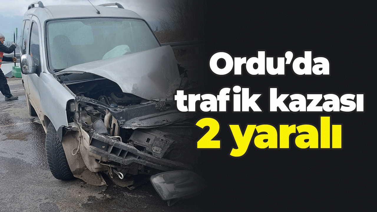Ordu'da trafik kazası: 2 yaralı