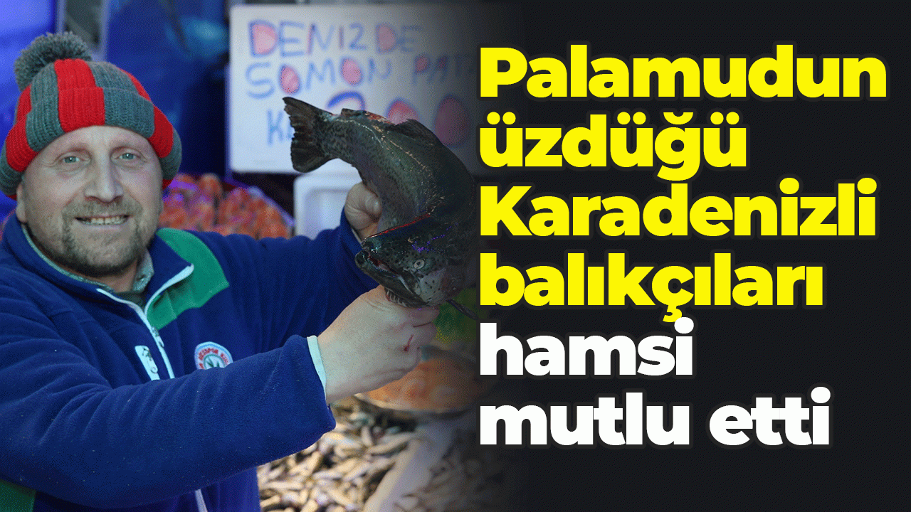 Palamudun üzdüğü Karadenizli balıkçıları hamsi mutlu etti