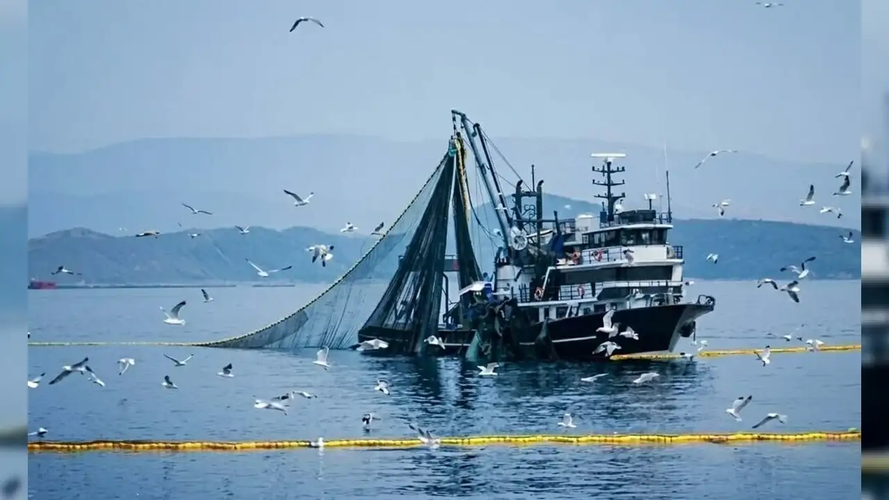 Giresun'da balıkçılara av yasağı uyarısı