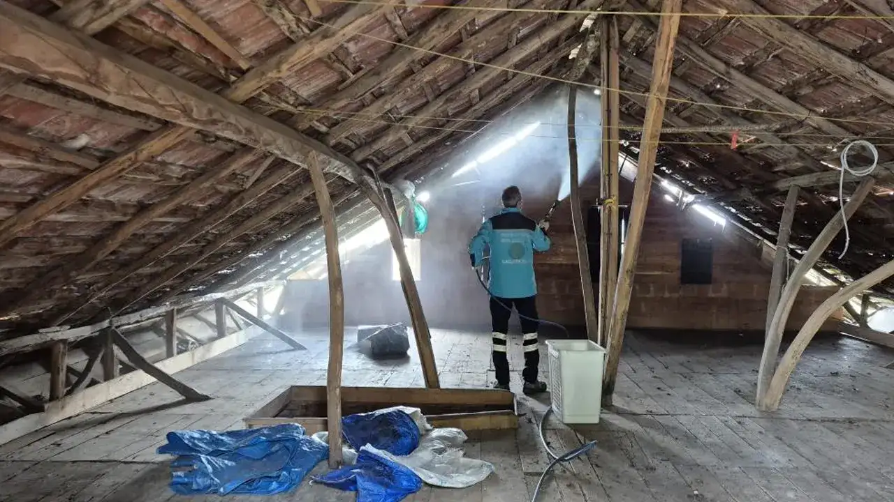 Trabzon’da kahverengi kokarcaya karşı yoğun mücadele! İlaçlama seferberliği