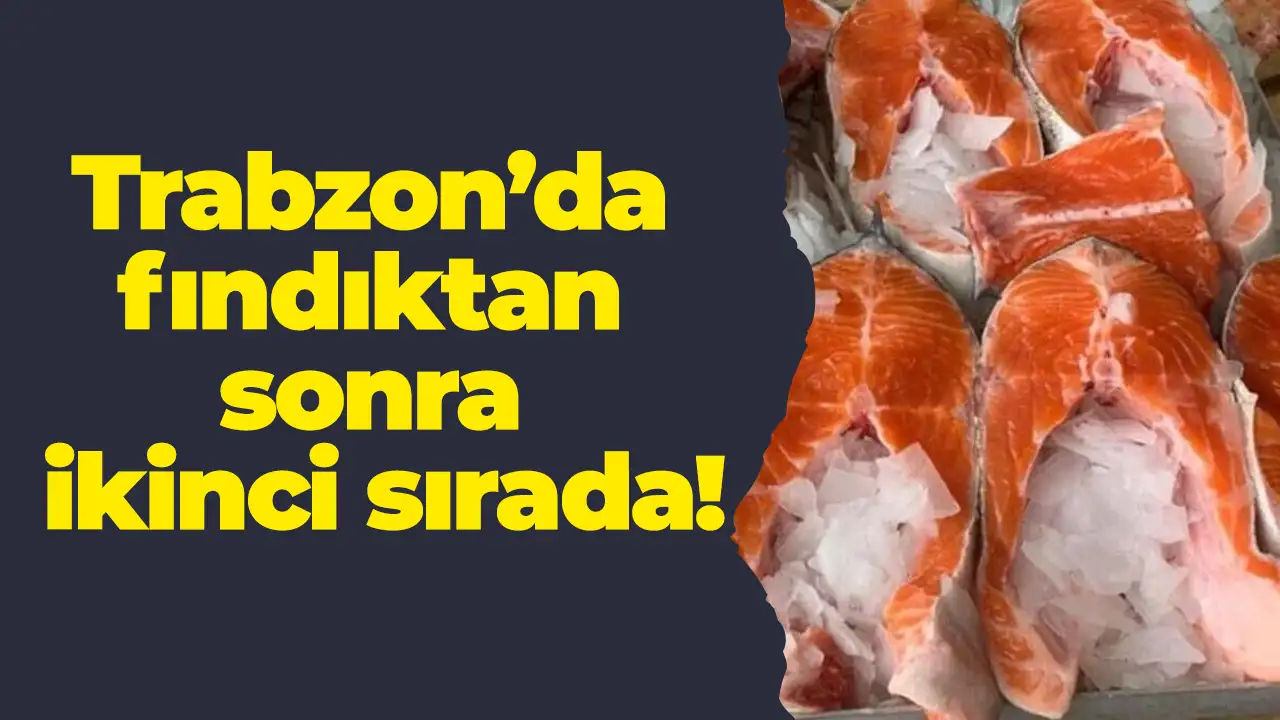 Trabzon’da fındıktan sonra ikinci sırada: Yeni OSB ihtiyacı gündemde