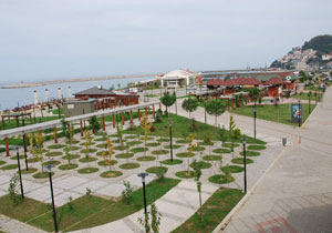 Trabzon'a stat izni veriliyor da...