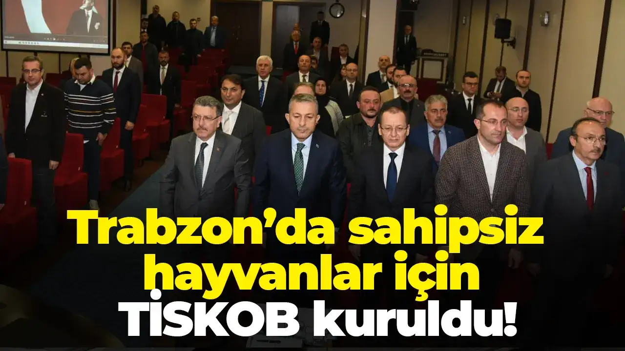 Trabzon’da sahipsiz hayvanlar için TİSKOB kuruldu