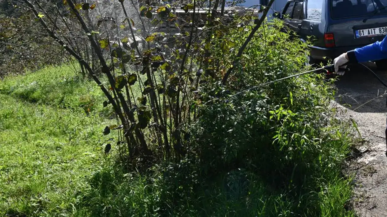 Trabzon’da çiftçileri ilgilendiren gelişme: Belge şartı getirildi