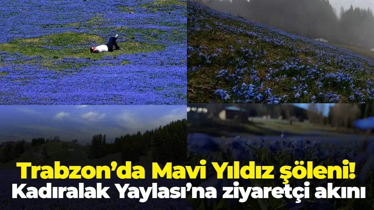 Trabzon’da Mavi Yıldız şöleni: Kadıralak Yaylası’na ziyaretçi akını