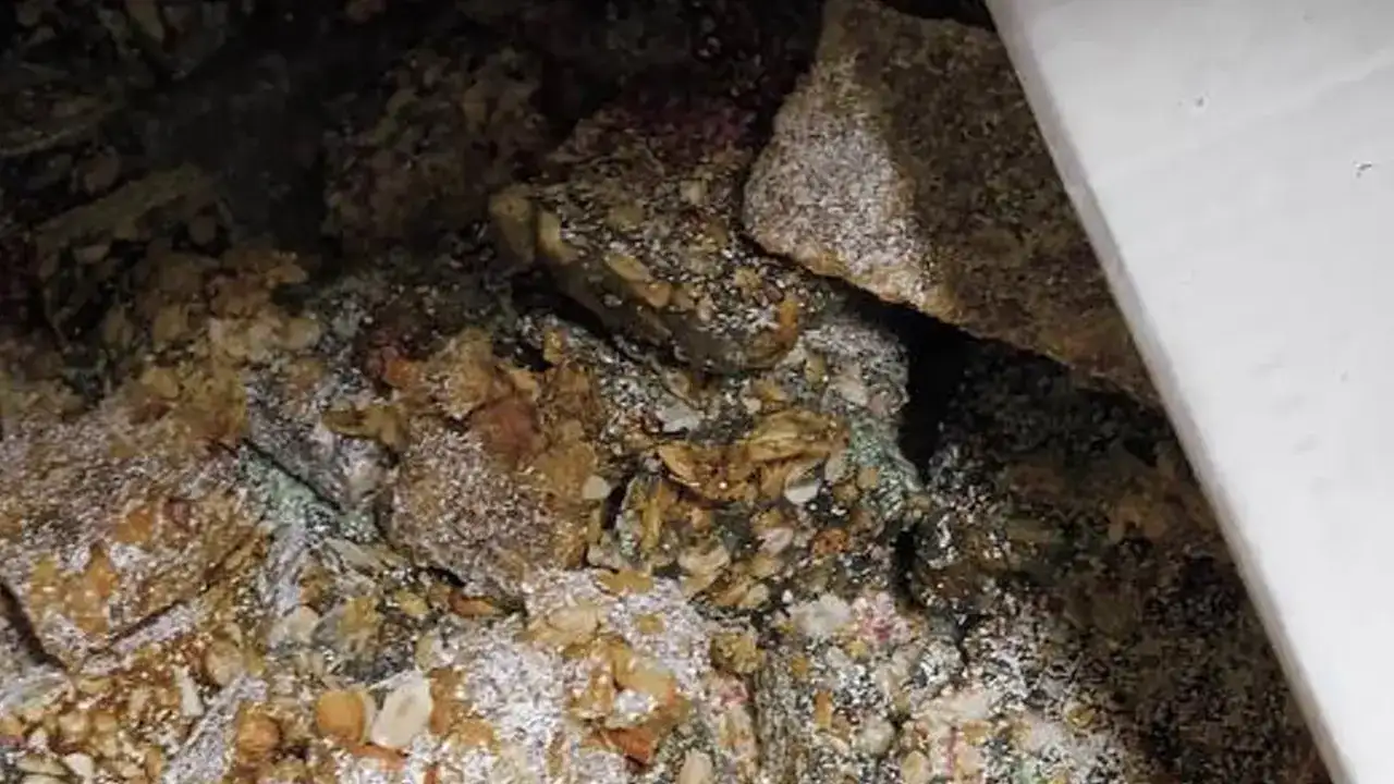 Eve giren zabıta şoke oldu: Kaçak lokum imalathanesi ortaya çıktı