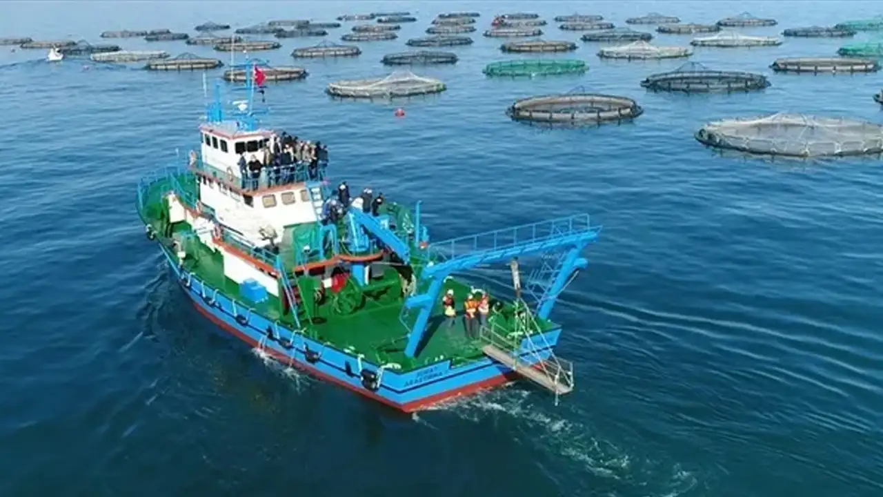 Karadeniz’den 3 ayda 85 milyon dolarlık su ürünü ihracatı